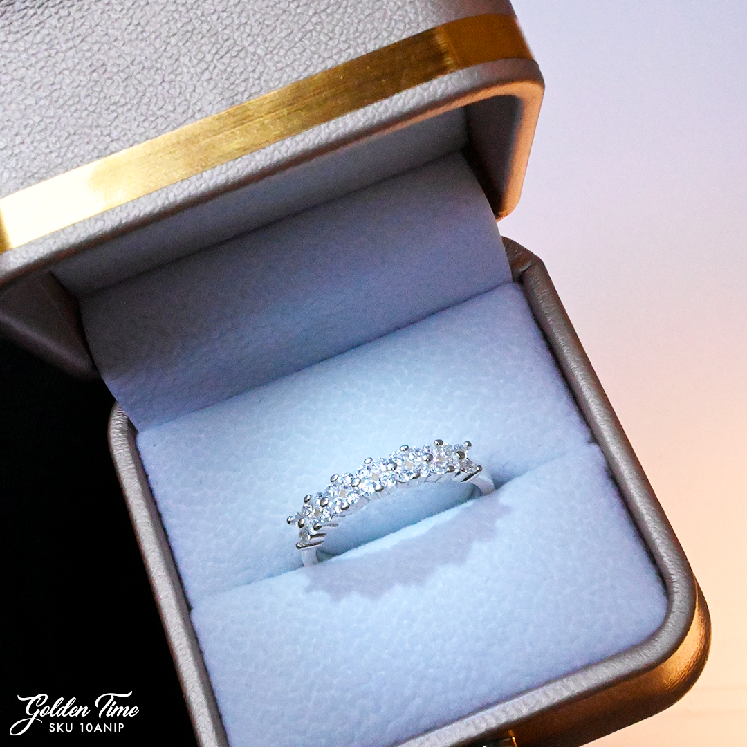 010ANIP ANILLO