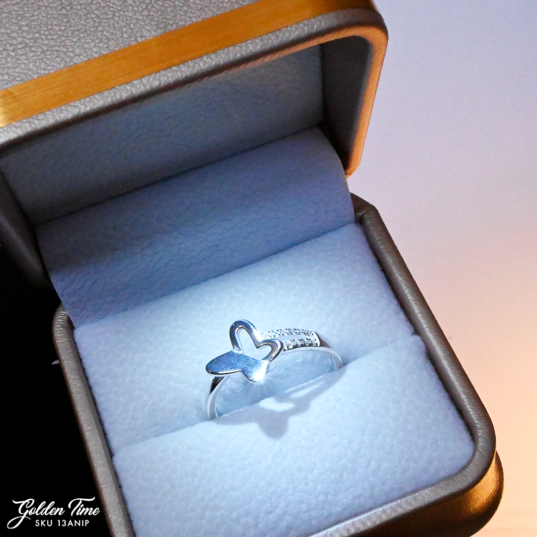 013ANIP ANILLO