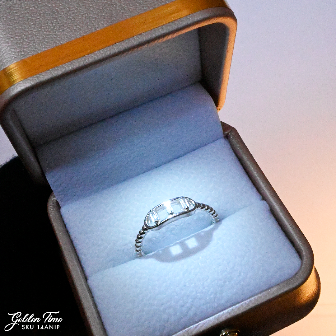 014ANIP ANILLO
