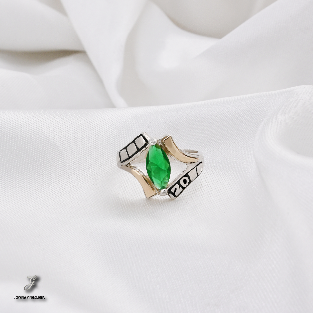 ANILLO DE GRADO NUEVA DELHI 19