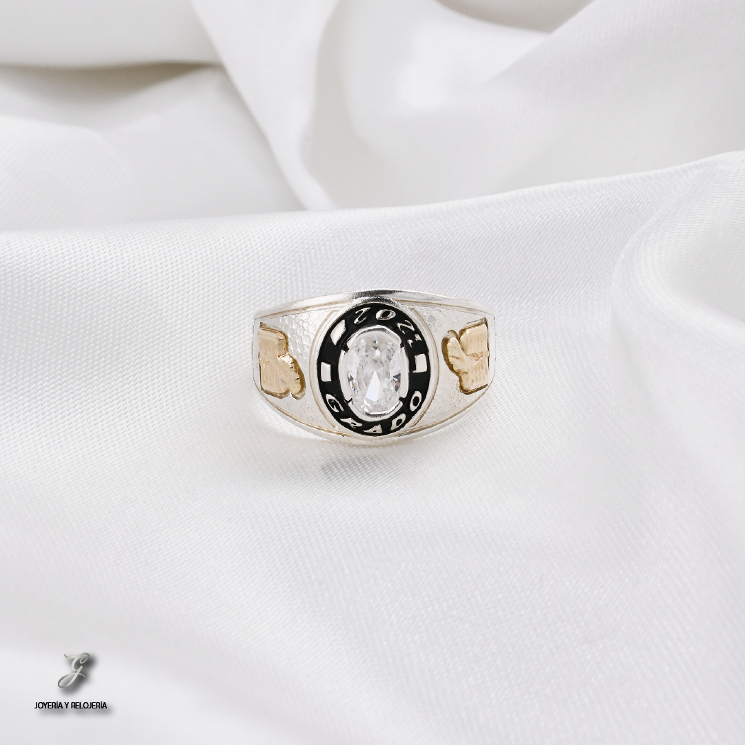 ANILLO DE GRADO SALZBURGO 16