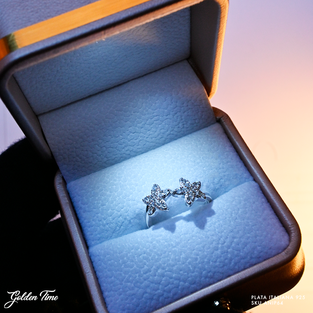 ANILLO 64ANIP