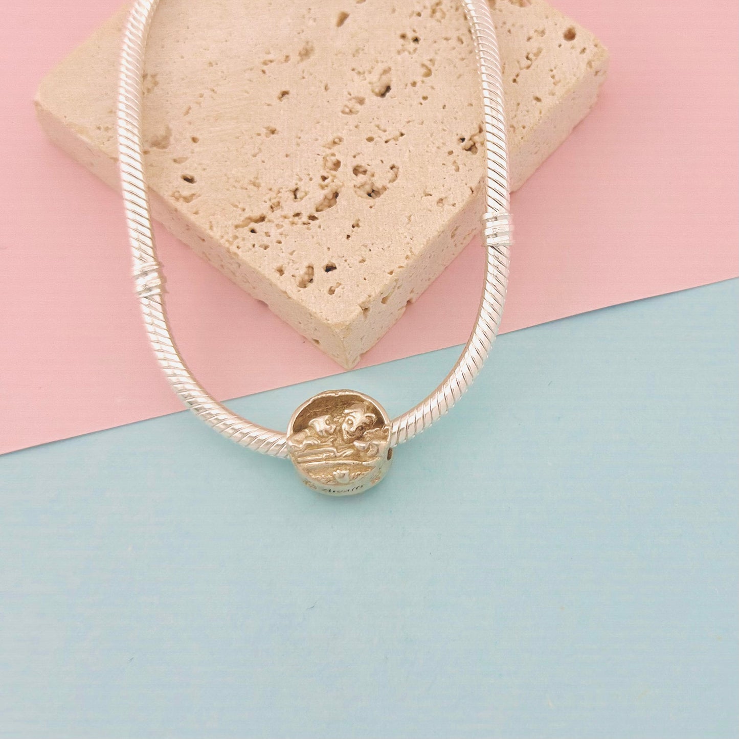 CHARM BELLA Y SUS AMIGOS