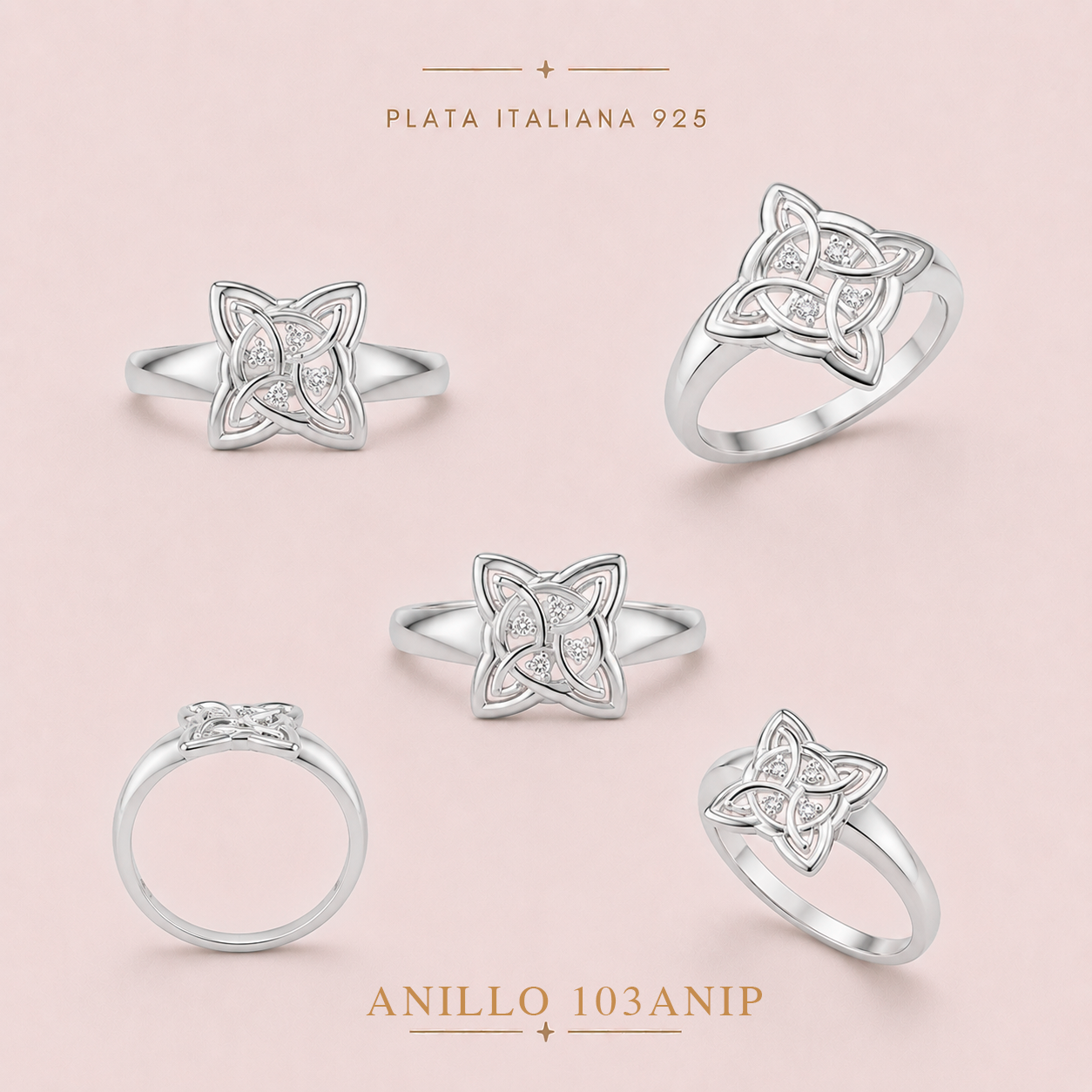 103ANIP ANILLO PLATA