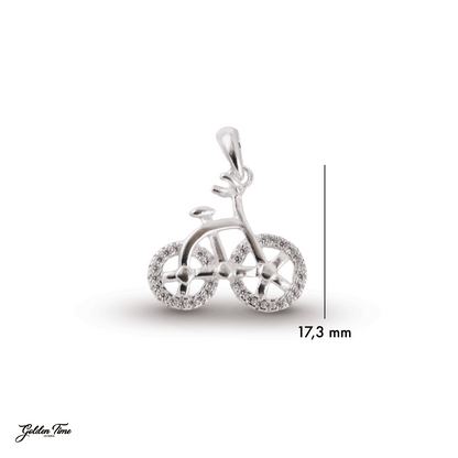 DIJE BICICLETA RUTA DE PLATA