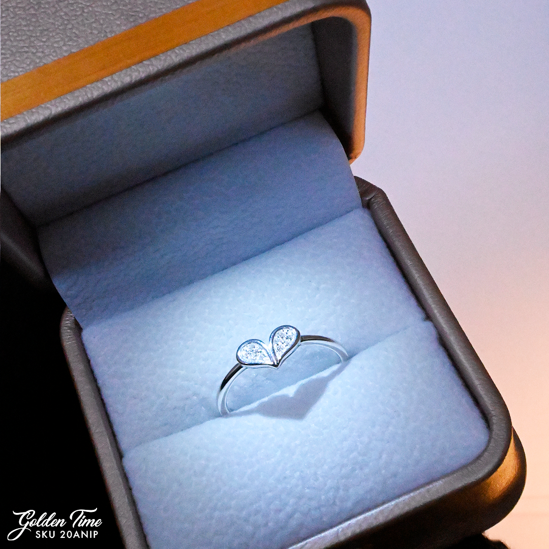 020ANIP ANILLO