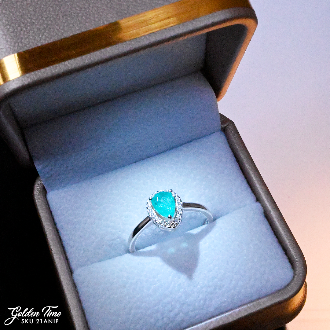 021ANIP ANILLO