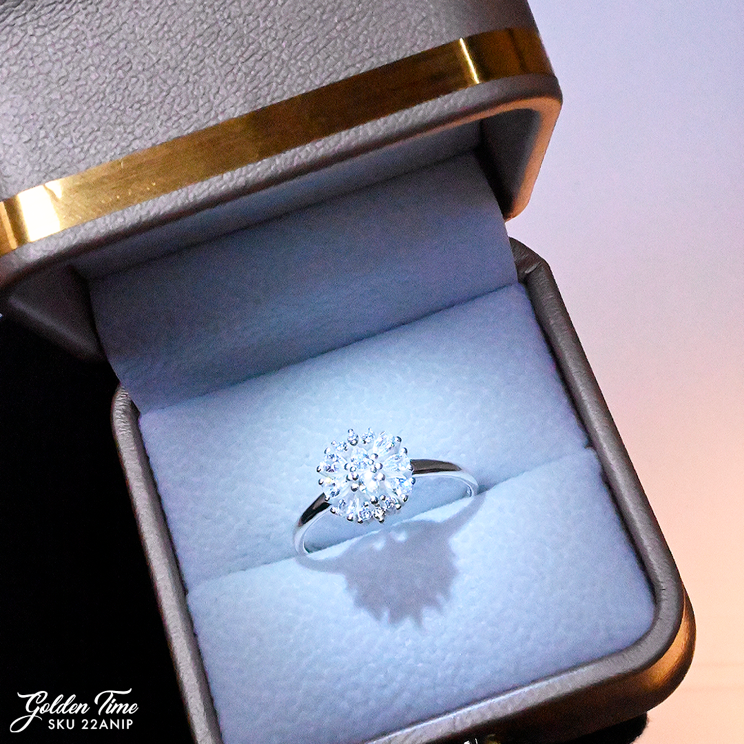 022ANIP ANILLO