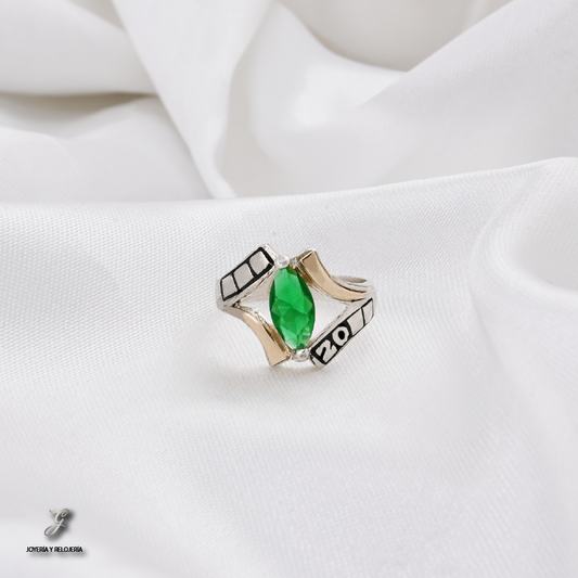 ANILLO DE GRADO NUEVA DELHI 19