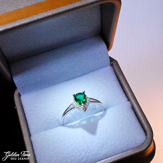 025ANIP ANILLO