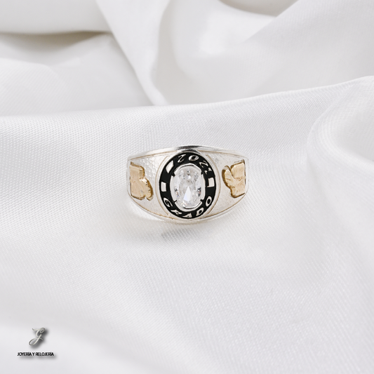 ANILLO DE GRADO SALZBURGO 16