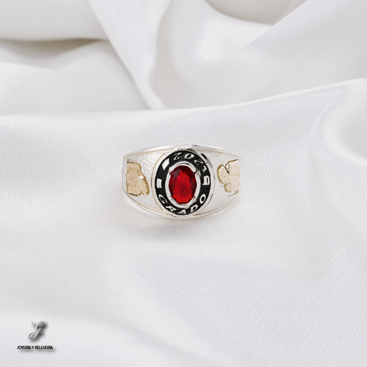 ANILLO DE GRADO SALZBURGO 16
