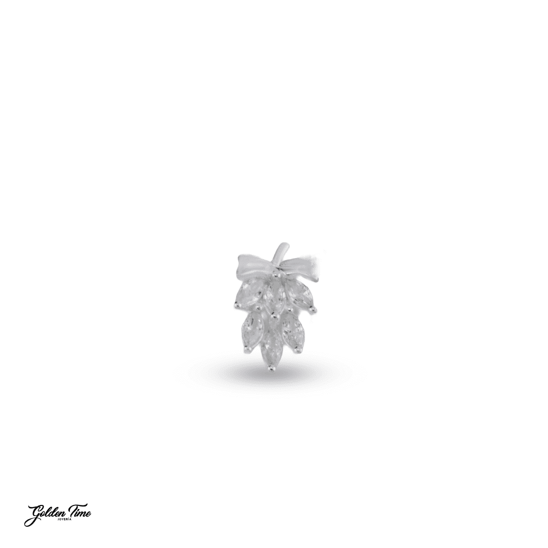 DIJE PLANTA