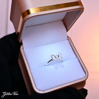 051ANIP ANILLO PLATA