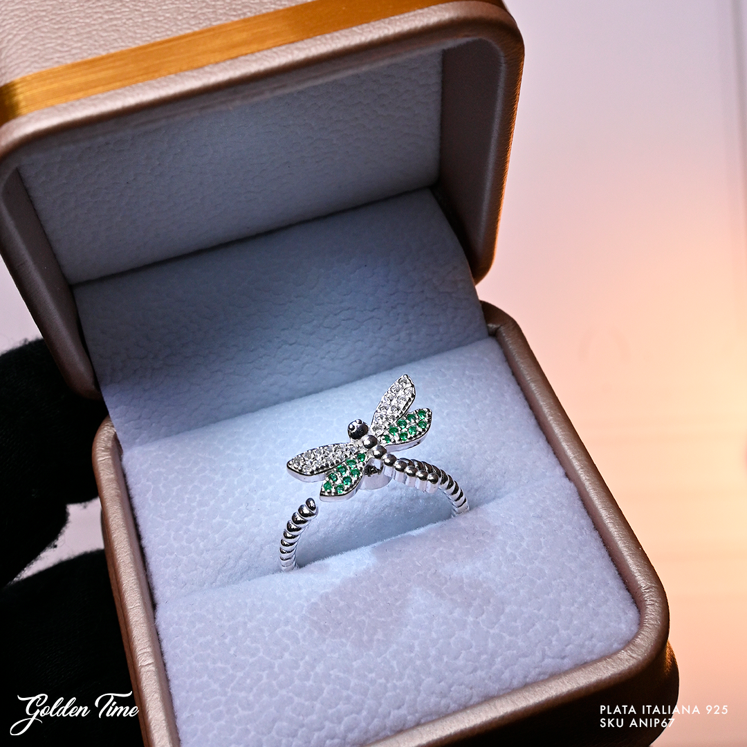ANILLO 67ANIP
