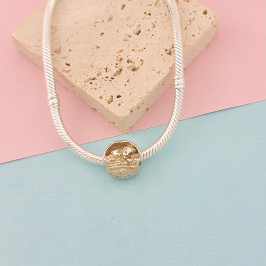 CHARM BELLA Y SUS AMIGOS