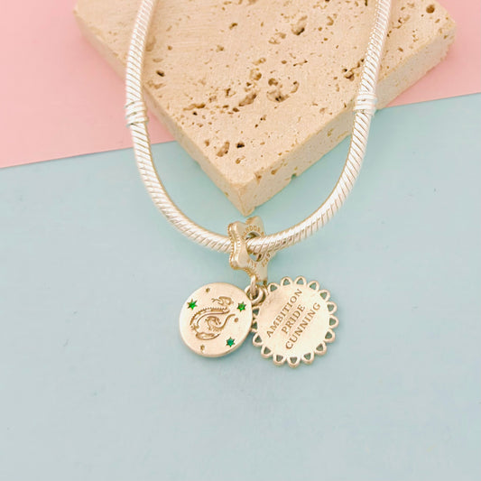 CHARM SLYTHERIN