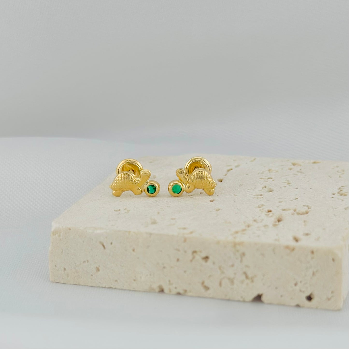 TOPOS TORTUGAS DE LA SUERTE